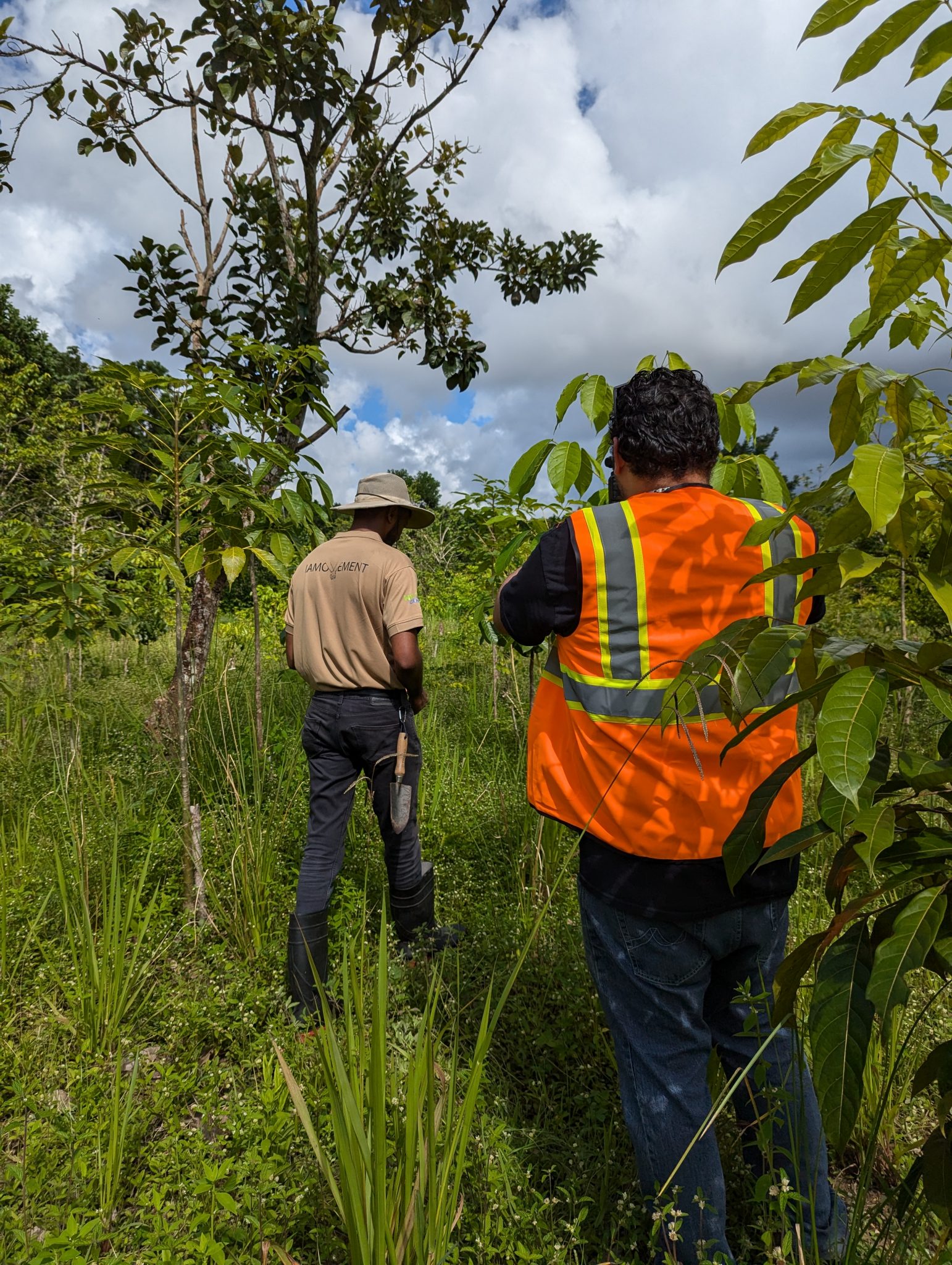 Two individuals—one in a high-visibility vest and the other in field gear—are walking through a reforested area, surrounded by lush green saplings and mature trees under a partly cloudy sky.