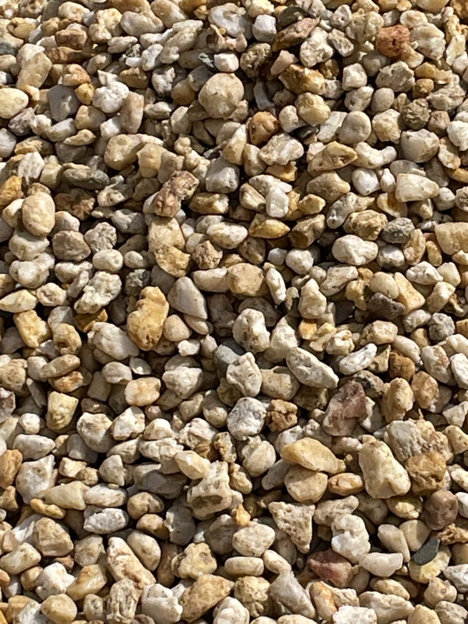 A close-up view of small, natural-colored pebbles.