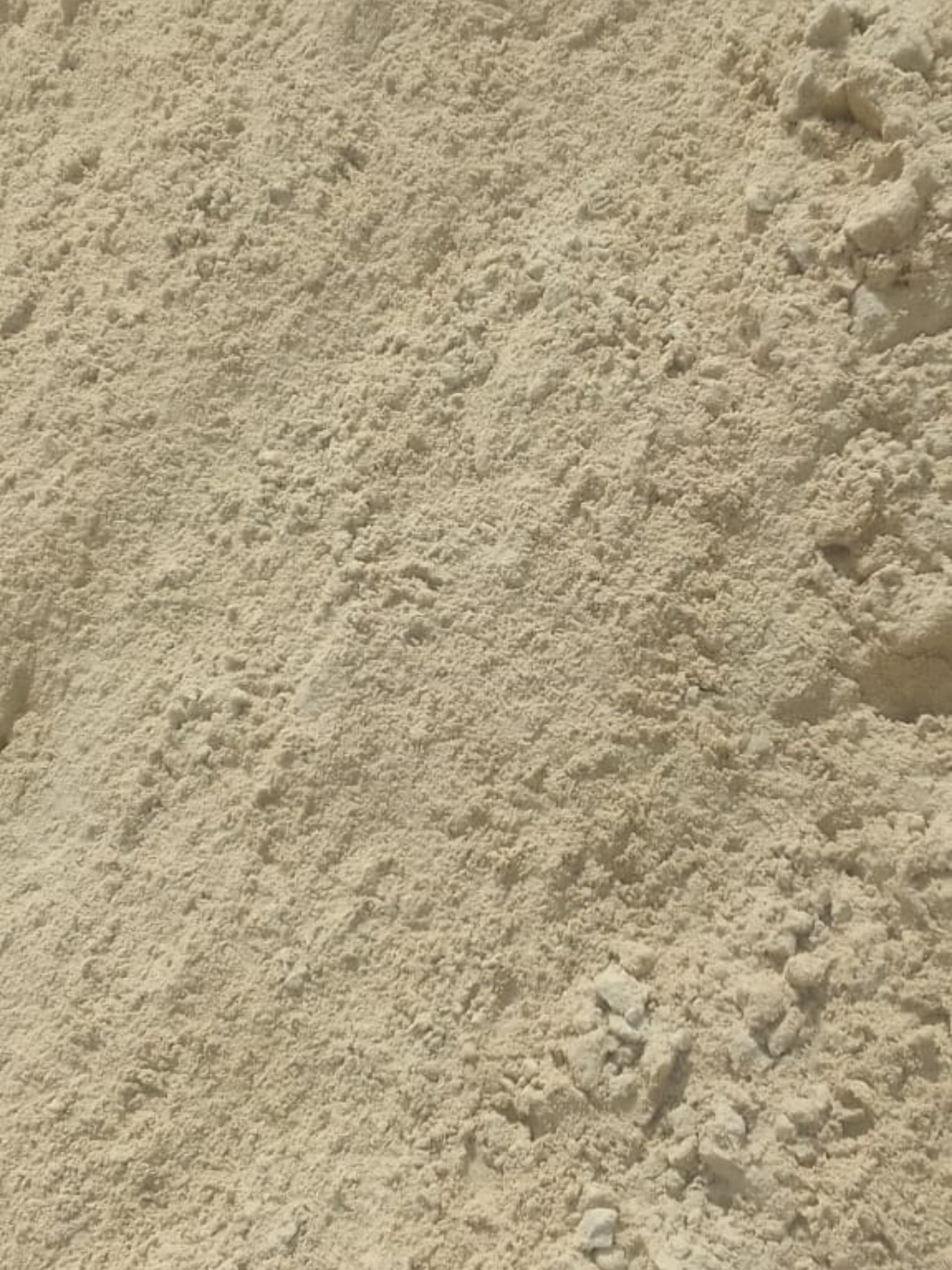 This image shows a close-up of a mound of fine silt sand, commonly used in construction projects for filling, leveling, and preparing surfaces. The sand has a smooth, light beige texture, ideal for mixing with cement or for use in landscaping and paving work.