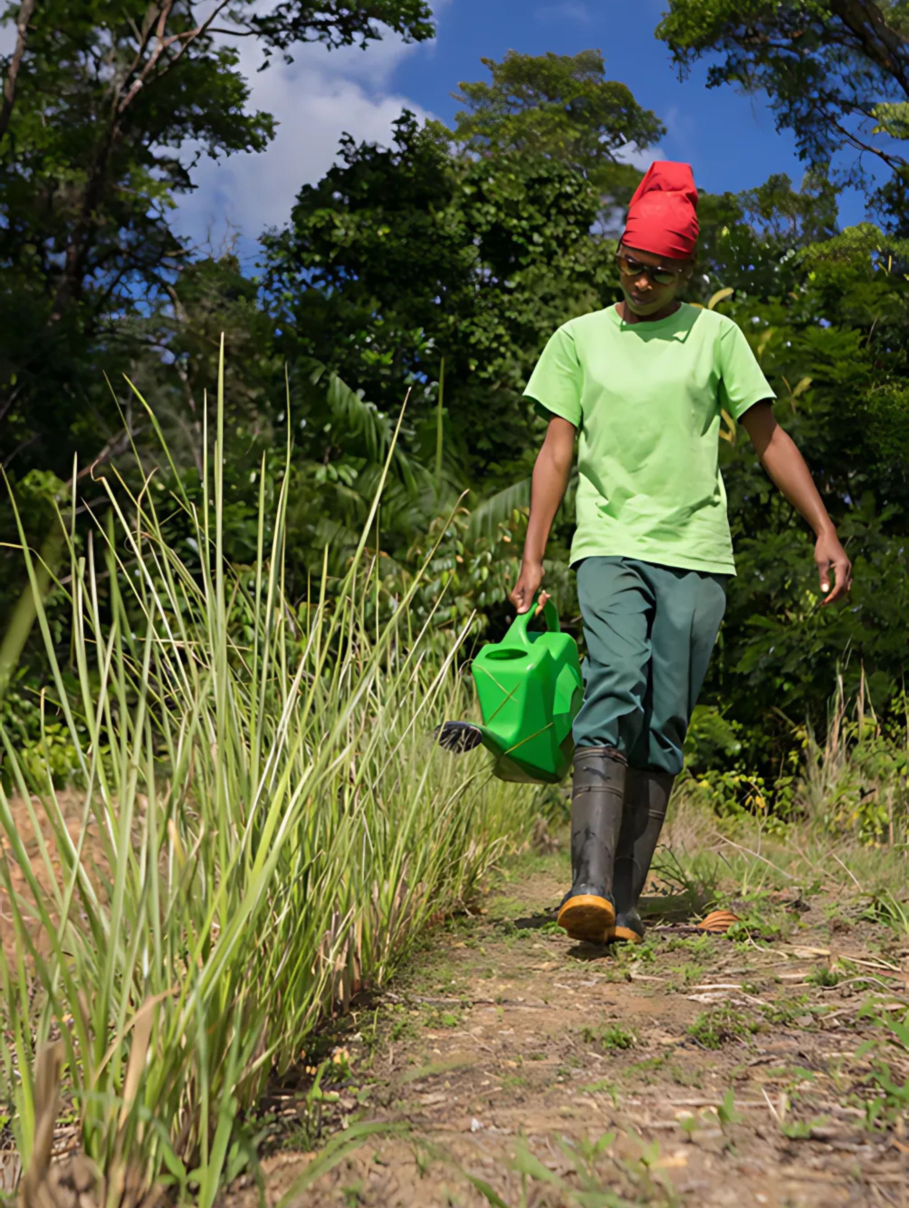 The image features a person dressed in a green shirt, red headwrap, and rubber boots walking through a cultivated area. The presence of vetiver grass suggests land stabilization or erosion control practices, commonly used in sustainable land management initiatives.